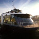 Admission to Vivid Dinner Cruise in Sydney - The Itinerary: What to Expect