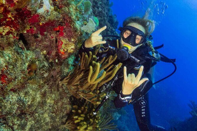 Advanced Open Water Diver - Bávaro - Locations and Underwater Highlights