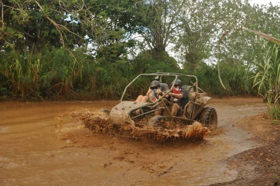 Adventure Bayahibe Buggy between Jungle, Caves & Beaches - The Experience on the Ground