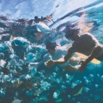 Adventure Moreton Island Scuba Dive Tour - Analyzing Value and Practicality