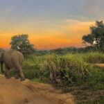 Adventure safari Experience in Hurulu Eco Park, Sri Lanka - What to Expect During the Safari