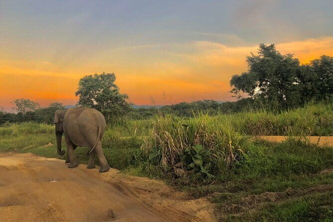 Adventure safari Experience in Hurulu Eco Park, Sri Lanka - What to Expect During the Safari