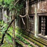 Adventure to Boeng Mealea and Koh Ker temple from Siem Reap - What You Get and Why It Matters