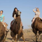 Adventure to Desert Kyzyl Kum and Yurt Camp - Final Thoughts: Who Should Consider This Tour?