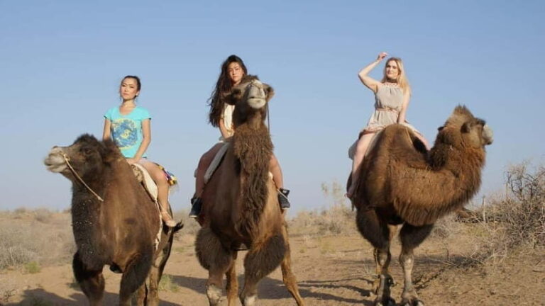 Adventure to Desert Kyzyl Kum and Yurt Camp - Final Thoughts: Who Should Consider This Tour?