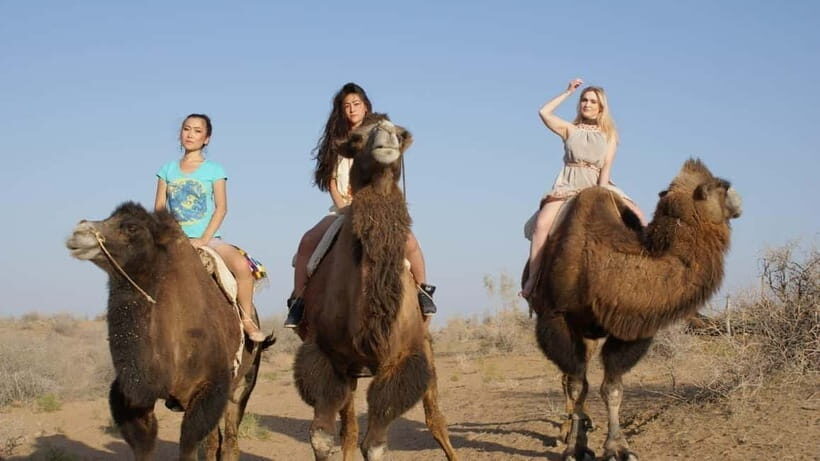 Adventure to Desert Kyzyl Kum and Yurt Camp - Final Thoughts: Who Should Consider This Tour?