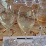 Afternoon Indulgence at Graycliff Restaurant - Who Is This Tour Best For?