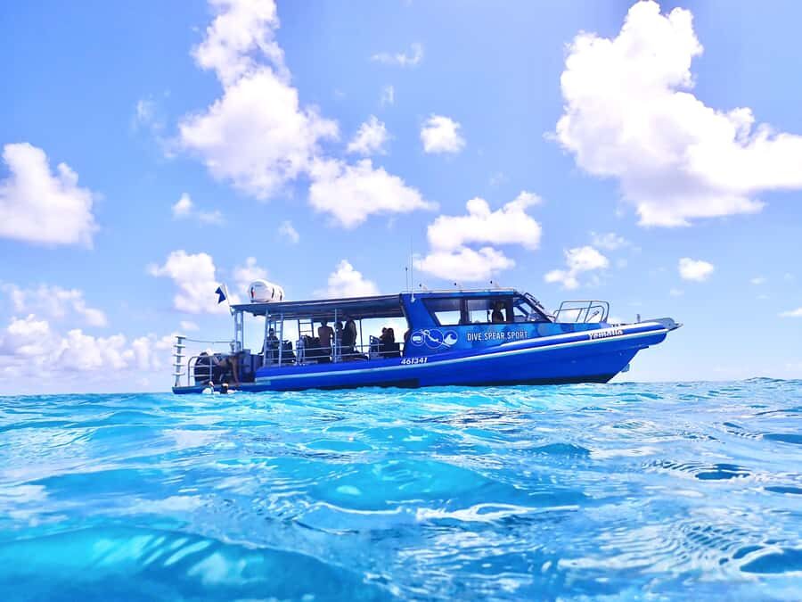 Agnes/1770: Southern Great Barrier Reef Snorkelling Day Trip - The Practical Side: Transport, Timing, and Group Size