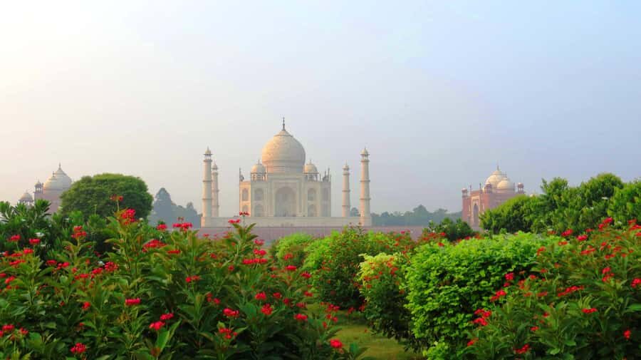 Agra: Baby Taj and Mehtab Bagh Sunset Viewpoint Guided Tour - Practicalities & Comfort