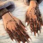 Agra: Henna, Mehndi, and Street Food Tour for Women - An In-Depth Look at the Agra Henna & Street Food Tour