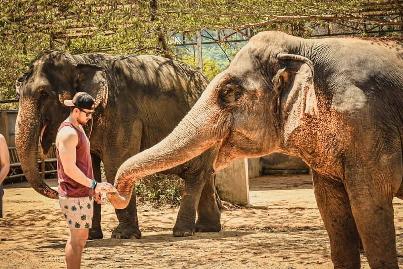 Agra: Sunrise Taj Mahal, Agra Fort & Wildlife SOS Tour - Who Is This Tour Best For?