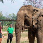 Agra: Taj Mahal, Agra Fort & SOS Wildlife Sanctuary Tour - Why This Tour Offers Good Value