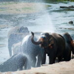 Agra: Taj Mahal Sunrise, Agra Fort & Elephant Center Tour - Practicalities: Transport, Timing, and Cost