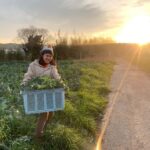 Aichi: Regenerative Farm Stay with Lunch at Doronko Village - Hands-On Farm Activities: More Than Just Observation