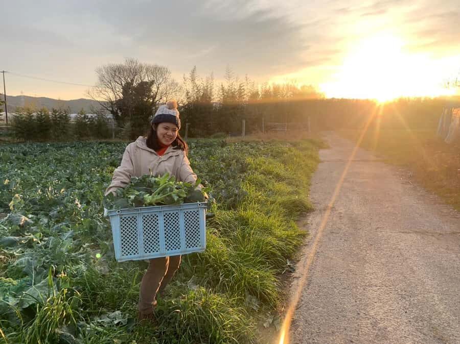 Aichi: Regenerative Farm Stay with Lunch at Doronko Village - Hands-On Farm Activities: More Than Just Observation