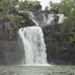 Airlie Beach: Cedar Creek Express (cruise ship friendly) - Who Would Love This Tour?