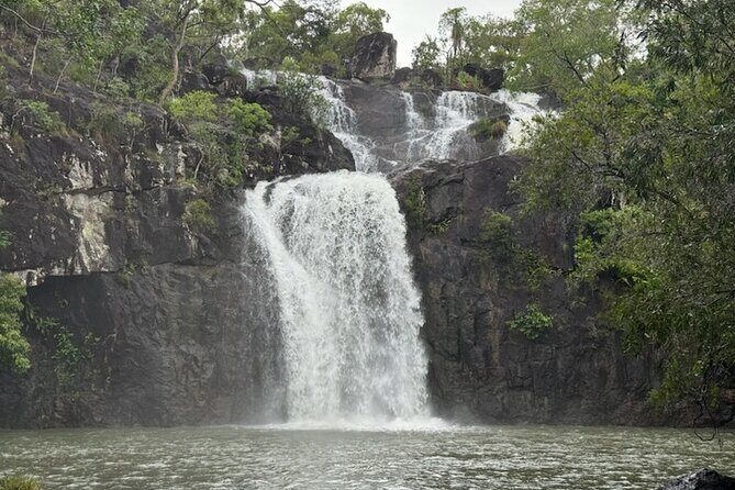 Airlie Beach: Cedar Creek Express (cruise ship friendly) - Who Would Love This Tour?  