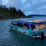 Airlie Beach Glass Bottom Boat Guided Night Tour - The Itinerary: What You Can Expect