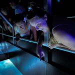 Airlie Beach: Glass-Bottom Boat Night Tour - The Itinerary in Detail