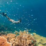 Airlie Beach: Outer Great Barrier Reef Snorkeling Day Trip - Price & Overall Value