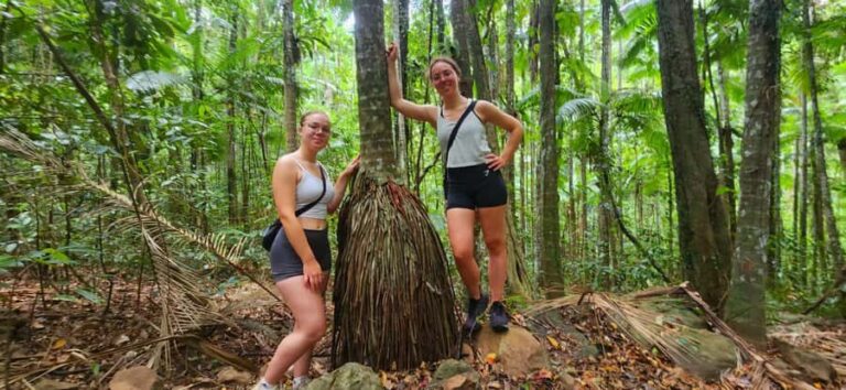 Airlie Beach: Waterfall & Rainforest Bushwalk Eco Adventure - What to Expect and Practical Details