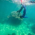 Airlie Beach: Whitehaven Beach Day Tour with Snorkel Option - What We Love About This Tour