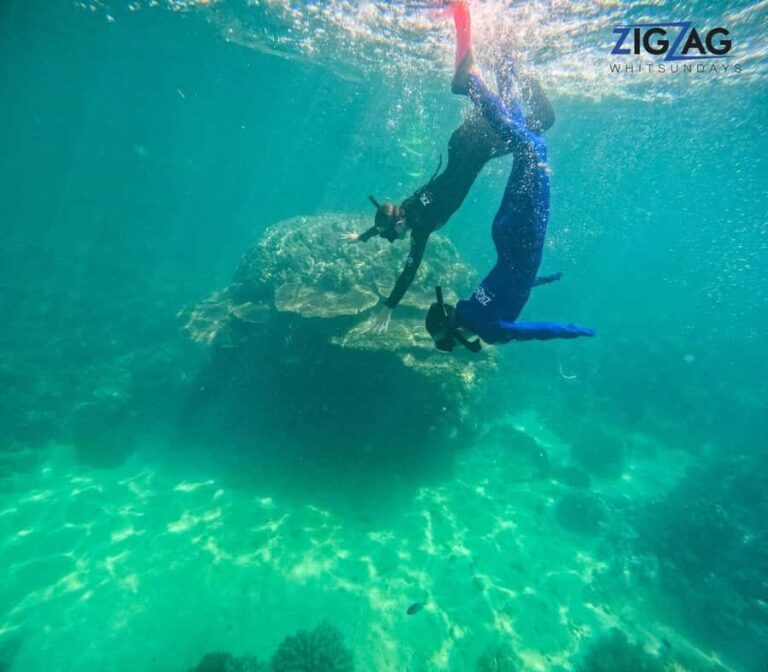 Airlie Beach: Whitehaven Beach Day Tour with Snorkel Option - What We Love About This Tour