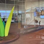 Airport Shuttle Accommodation to Airport - Who Is This Service Best For?