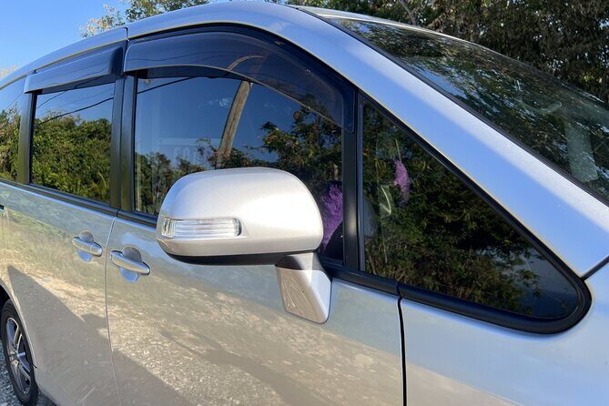 Airport Transfer To Kingston, Ocho Rios, Montego Bay & Negril - Authentic Insights from Travelers