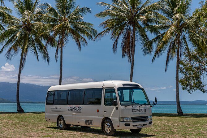 Airport Transfers between Cairns Airport and Palm Cove - Detailed Breakdowns of the Experience