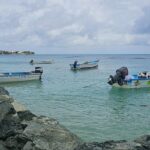 Airport Transfers in Tobago to OR from Accommodation - Why Choose a Tobago Airport Transfer?