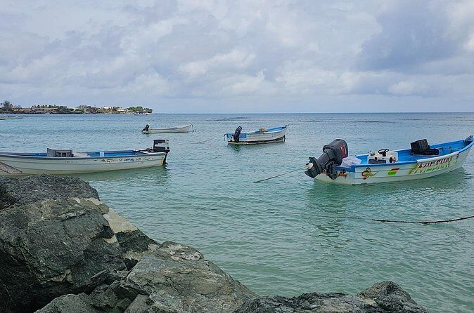 Airport Transfers in Tobago to OR from Accommodation - Why Choose a Tobago Airport Transfer?