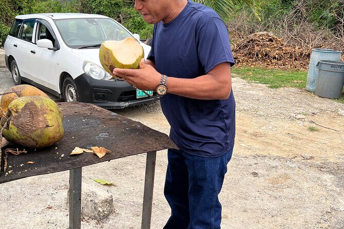 Airport Transfers Private: Montego Bay-hotels,villas & Airbnb - The Authenticity and Personal Touch