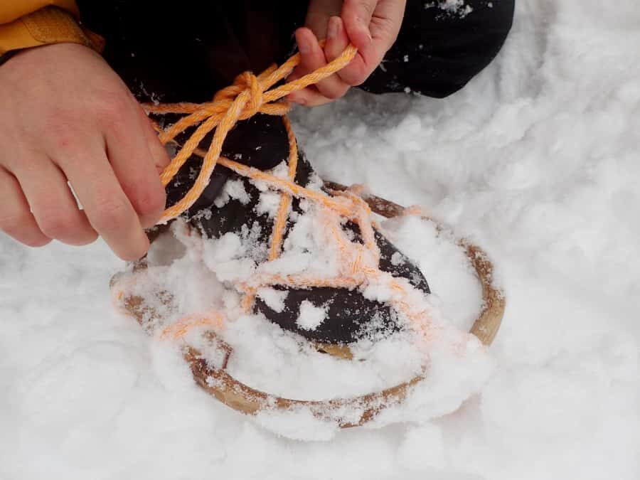 Aizu: Traditional Snowshoe Trek & Local Walnut Soba - An In-Depth Look at the Tour