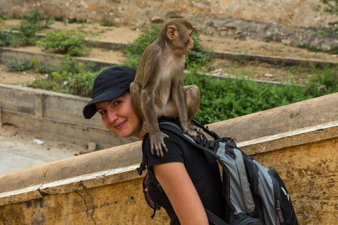 Ajmer Pushkar Same Day Tour By Private Car - What Sets This Tour Apart?