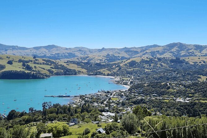 Akaroa and Akaroa Dolphins Day Tour - Who Is This Tour Best For?