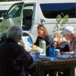 Akaroa & Banks Peninsula from Lyttelton(Private Shore Excursion) - What Makes This Tour Stand Out?
