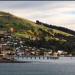 Akaroa Day Tour From Christchurch - Who Will Love This Tour?