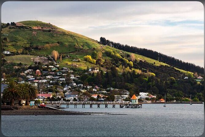 Akaroa Day Tour From Christchurch - Who Will Love This Tour?