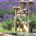 Akaroa Lavender Seasonal Guided Tour Experience - Why This Tour Works Well For Certain Travelers