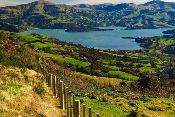 Akaroa Private Group Day Trip from Christchurch - What Could Be Better?  