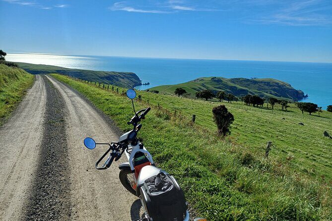 Akaroa Self Guided Electric Scooter Tour - What the Reviews Say
