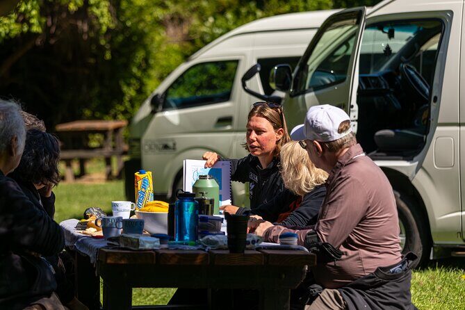 Akaroa with optional dolphin cruise (Small Group Tour) - Additional Highlights and Practicalities