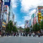 Akihabara: Kawaii and Moe Culture Guided Tour with Idol - Who Will Love This Tour?