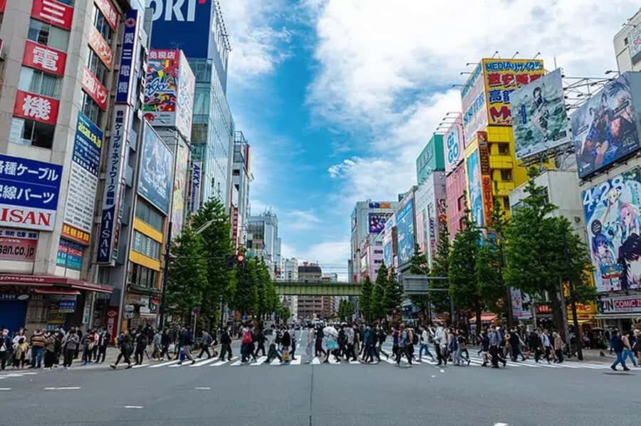 Akihabara: Kawaii and Moe Culture Guided Tour with Idol - Who Will Love This Tour?