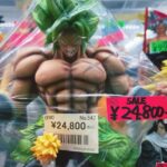 Akihabara: Private Anime and Pop Culture Tour - Why We Think This Tour Is Worth It