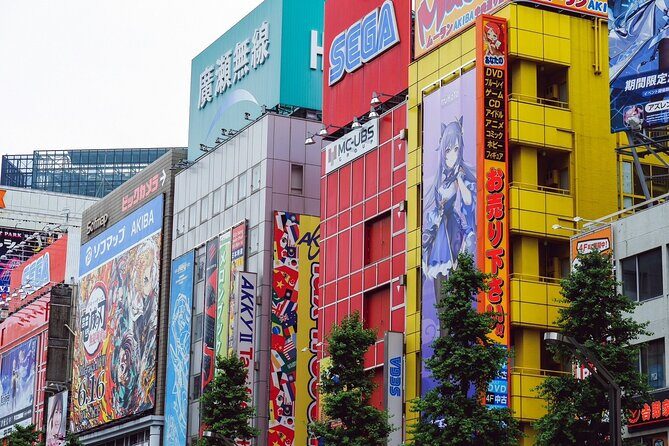 Akihabara Tour with Vintage Gaming Anime and Gachapon Experience - What Reviewers Say