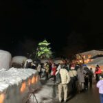 Akita: Tour of Yokote Winter Festival with licensed guide - Who Will Love This Tour?