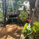 Akka Nago Cooking Class & Resturant - The Value of the Experience