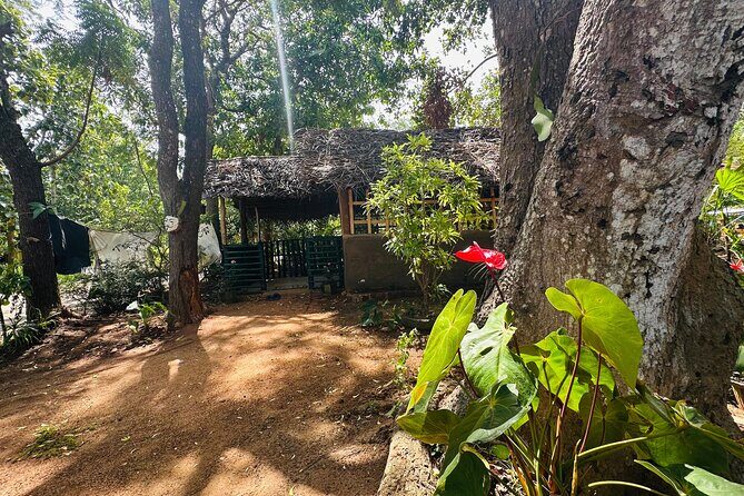 Akka Nago Cooking Class & Resturant - The Value of the Experience